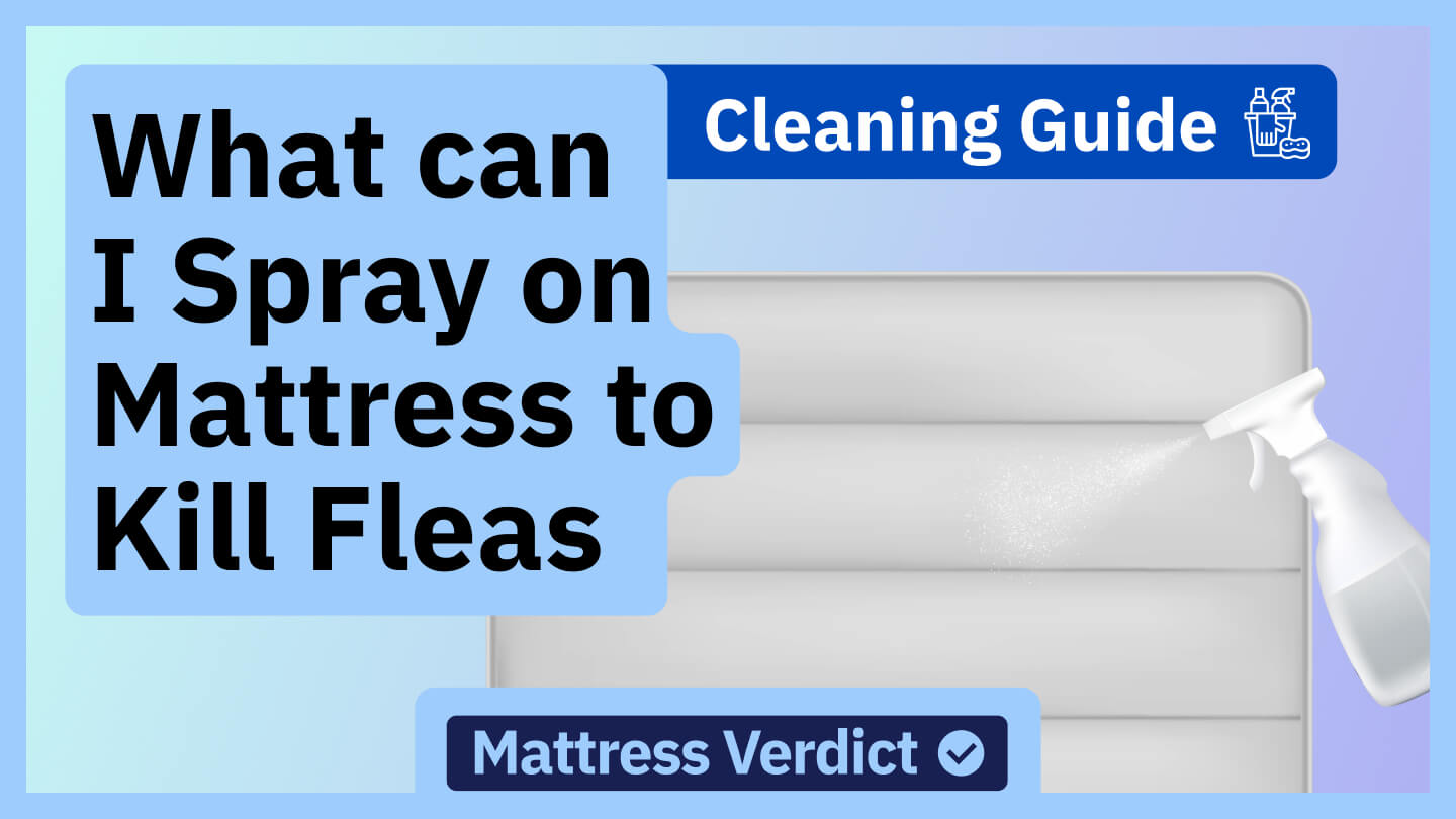 What Can I Spray on My Mattress to Kill Fleas? [Flea Control]